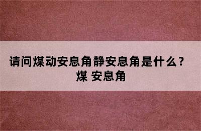 请问煤动安息角静安息角是什么？ 煤 安息角